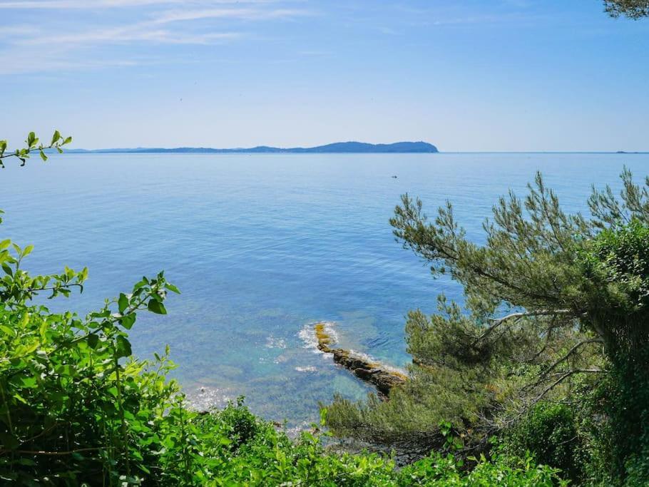 Maisonnette Avec Vue Sur La Mer Exceptionnelle ガイヤック エクステリア 写真