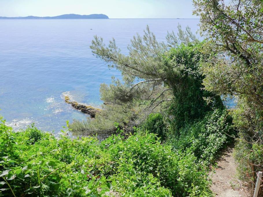 Maisonnette Avec Vue Sur La Mer Exceptionnelle ガイヤック エクステリア 写真